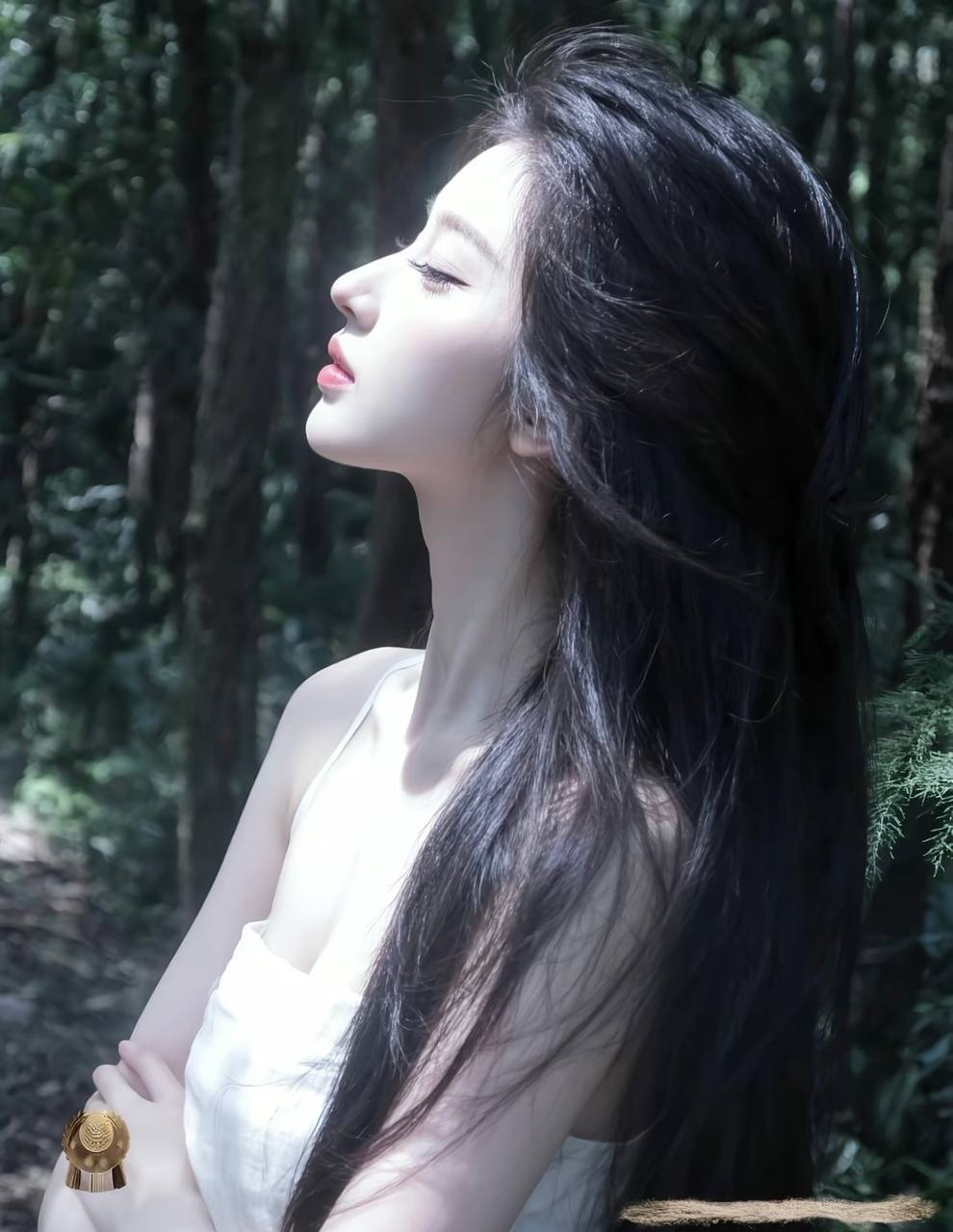 合同特别篇